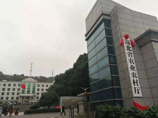 品牌設計的春天：湖北省農產(chǎn)品品牌三年培育方案